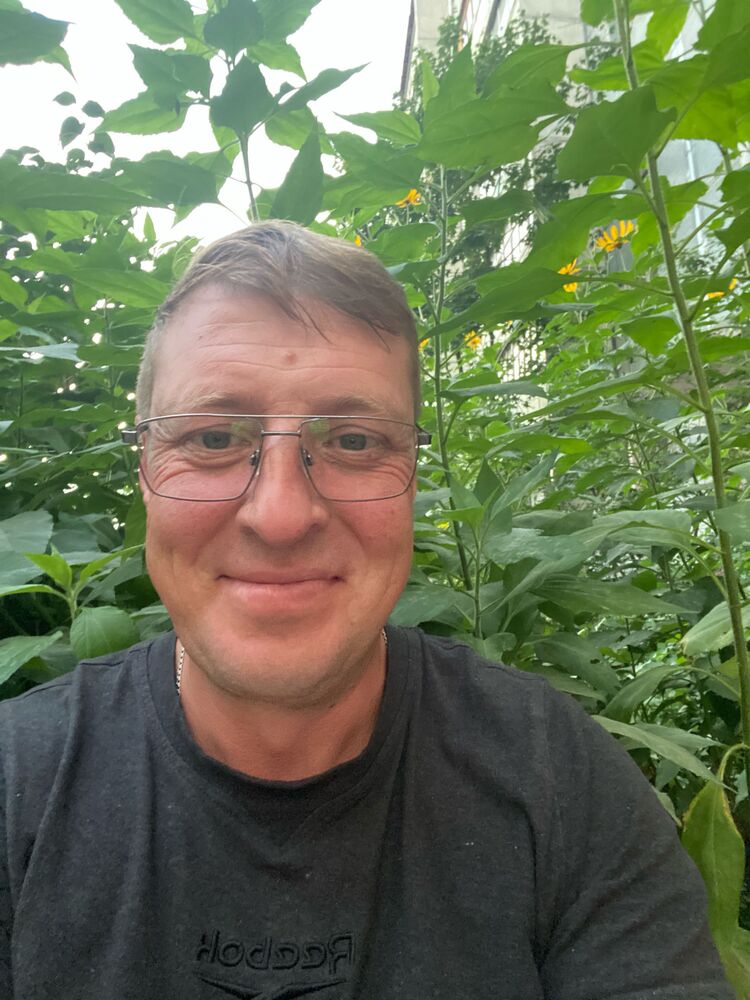 ���� 46231232 ������� ������, 32 ����, ���� ���������� � ������