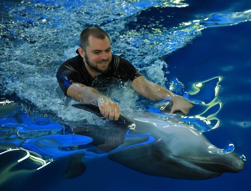 ���� 41634812 ������� ������, 41 ���, ���� ���������� � ������