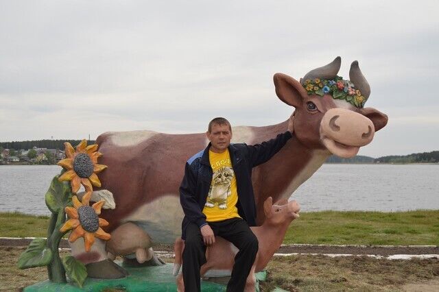 ���� 31453542 ������� ���������, 49 ���, ���� ���������� � ��������