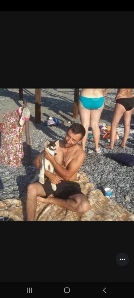 ���������� ���������, ���� ������� ������, 42 ����, ������������ ��� ������, ����� � ���������, c�������� ���������, ���������