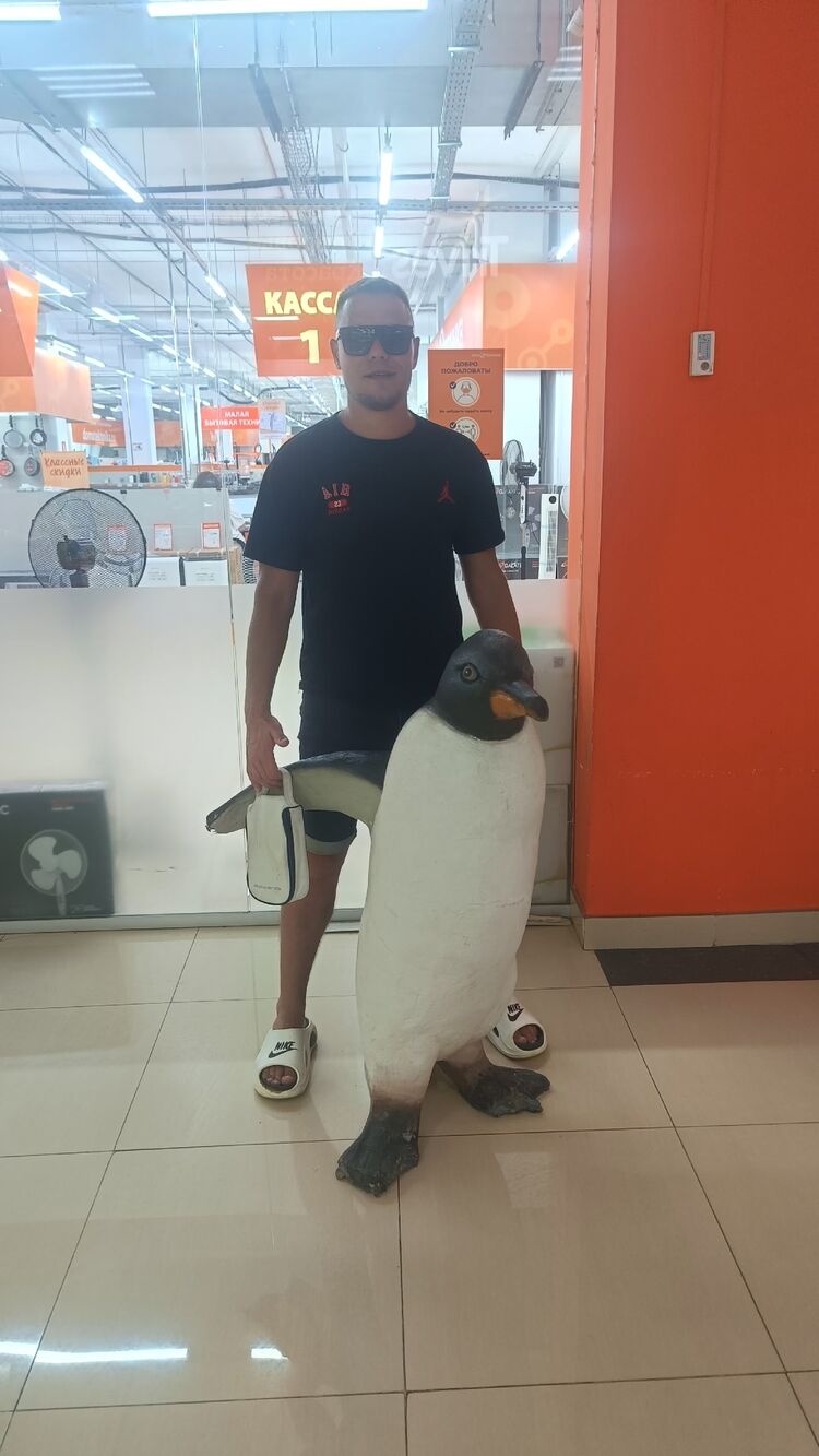 ���������� �����������-��-�����, ���� ������� �������, 34 ����, ������������ ��� ������, ����� � ���������, c�������� ���������