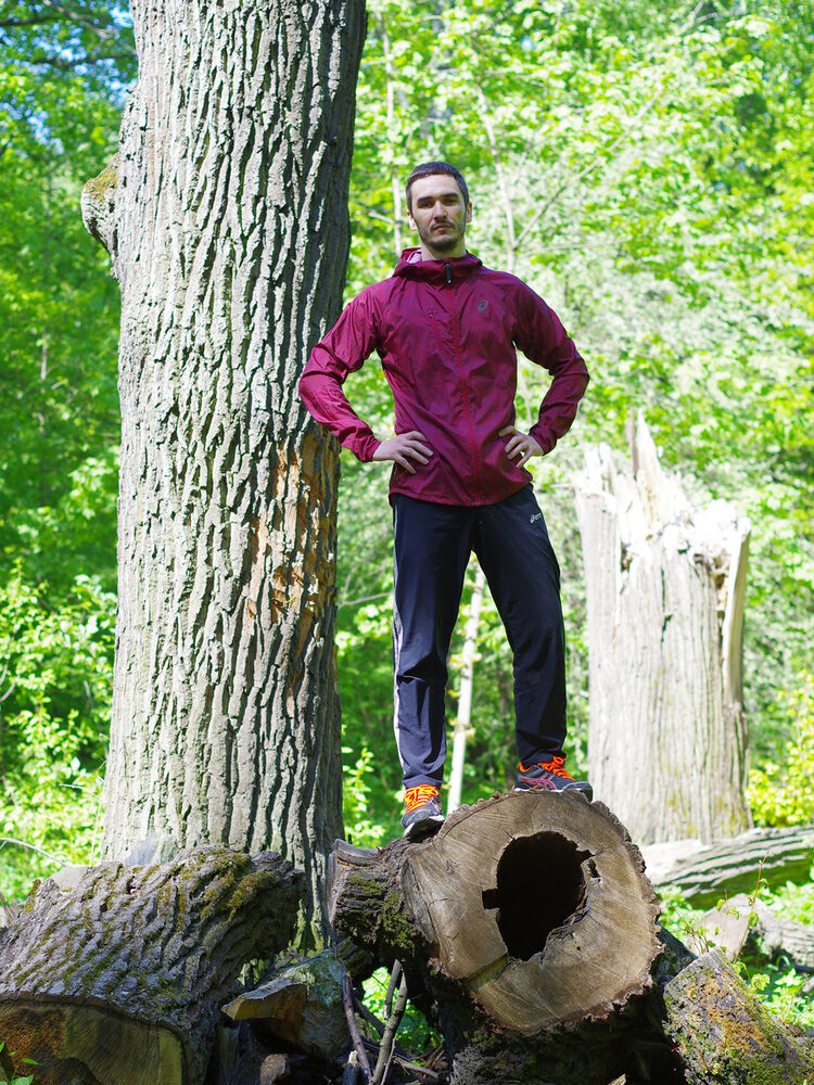 ���������� ������, ���� ������� ���������, 38 ���, ������������ 