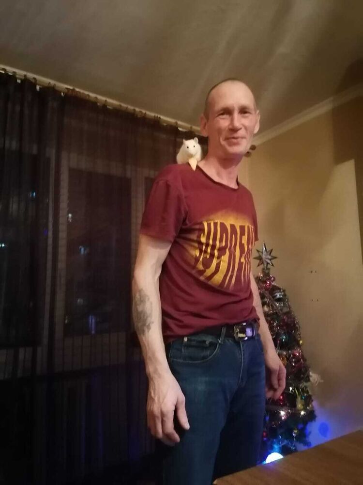   ,   , 51 ,   ,   
