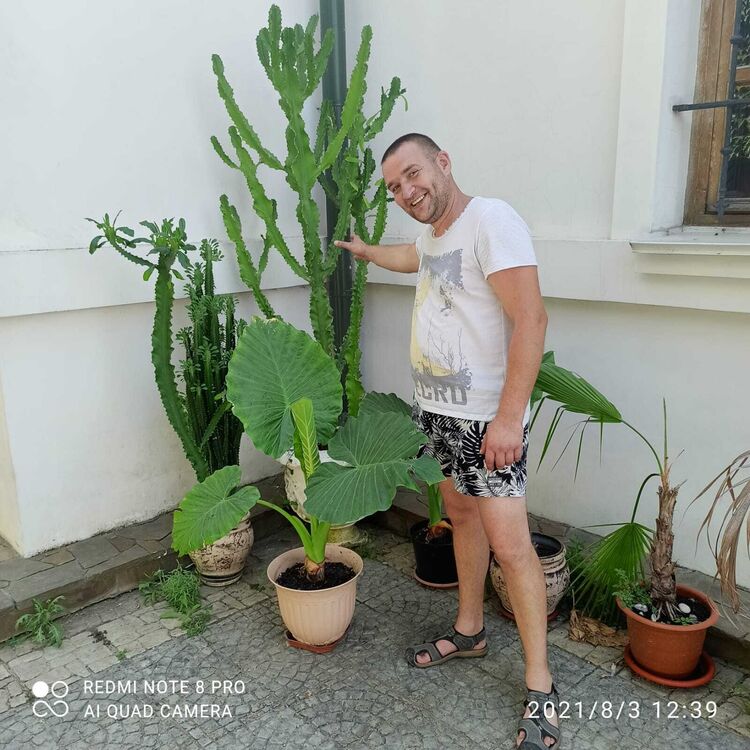 ���������� �����, ���� ������� ����, 44 ����, ������������ ��� ������, ����� � ���������, c�������� ���������