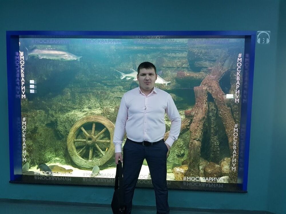 ���������� ������, ���� ������� �����, 44 ����, ������������ ��� ������, ����� � ���������, c�������� ���������