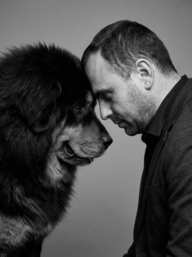 ���� 55589222 ������� �������, 36 ���, ���� ���������� � ��������