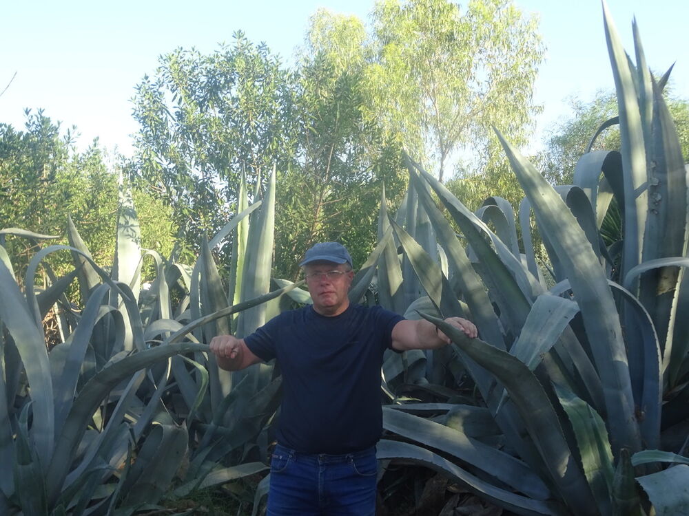 ���� 18305112 ������� ������, 60 ���, ���� ���������� � �����-����������