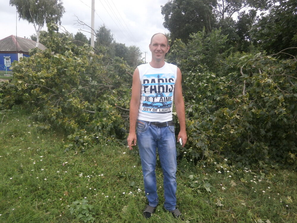  8745002  , 46 ,    