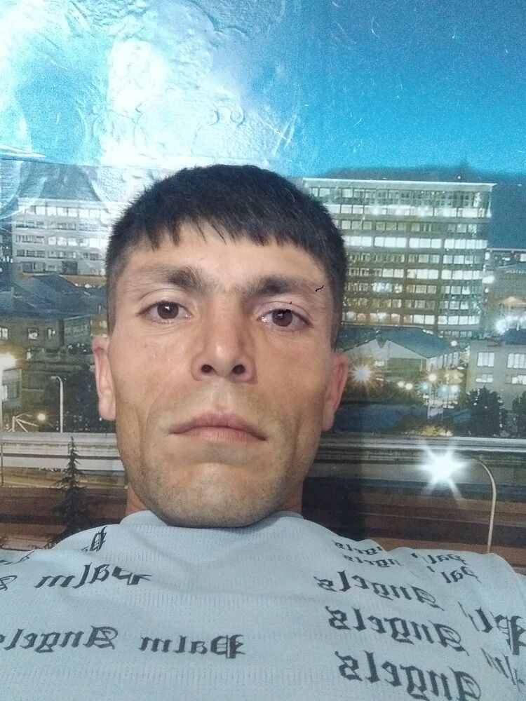  44453072  , 33 ,    