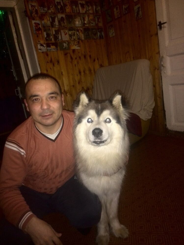  ,   RU, 43 ,   ,   , c 