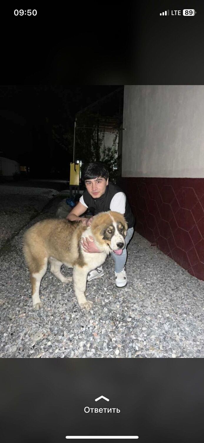 ���� 35867202 ����� ������, 23 ����, ���� ���������� � ����������