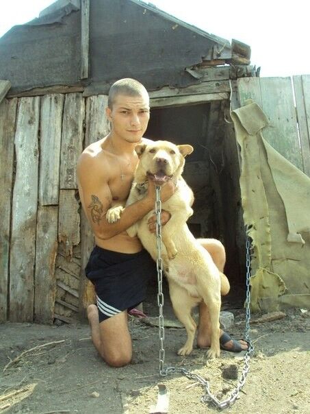 ���������� ���������, ���� ������� �����, 33 ����, ������������ ��� ������, ����� � ���������, c�������� ���������