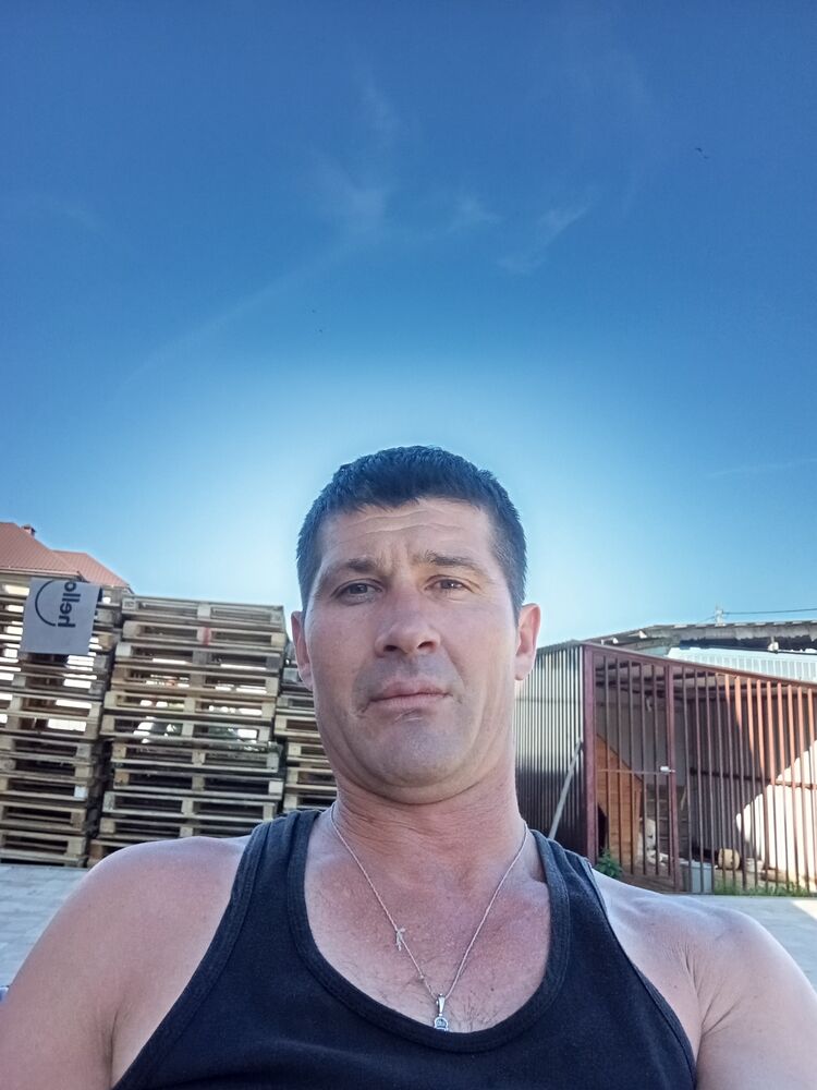  53515422  , 41 ,    