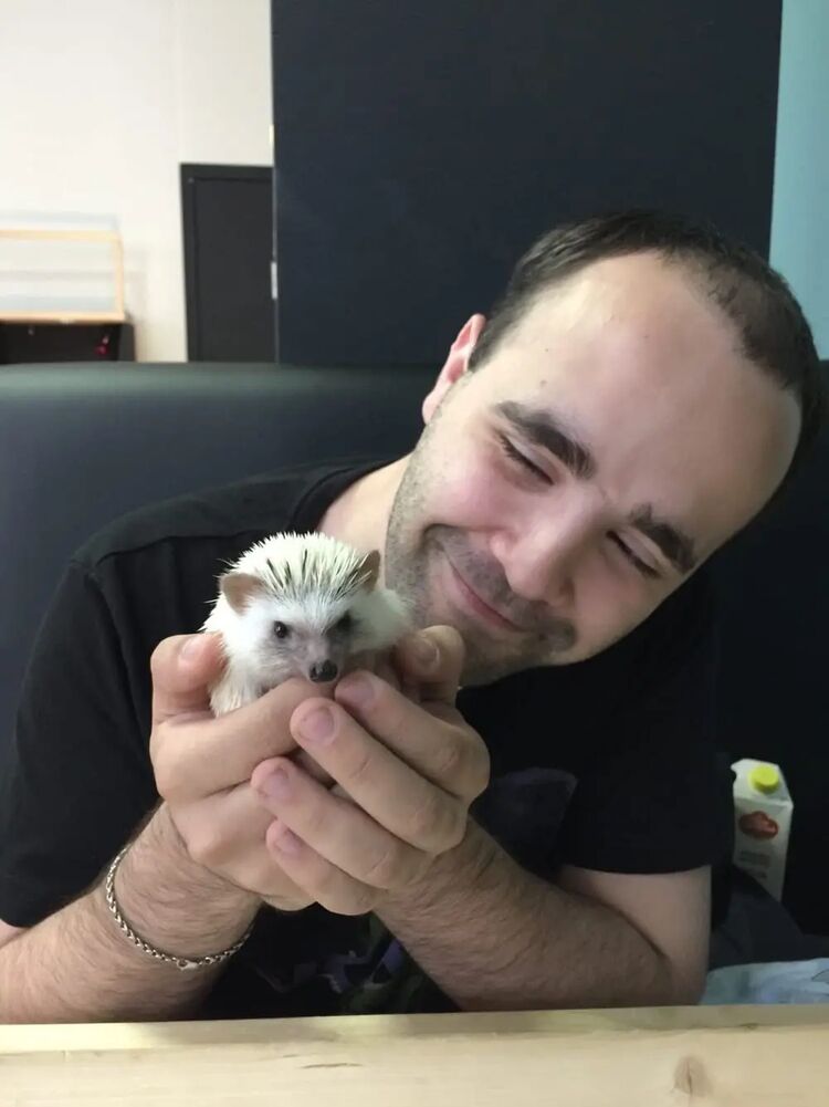  31811142  , 28 ,    -