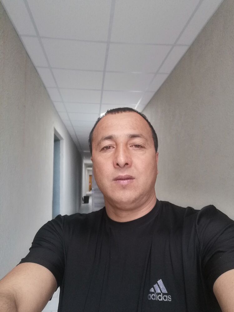  48458652  , 43 ,    