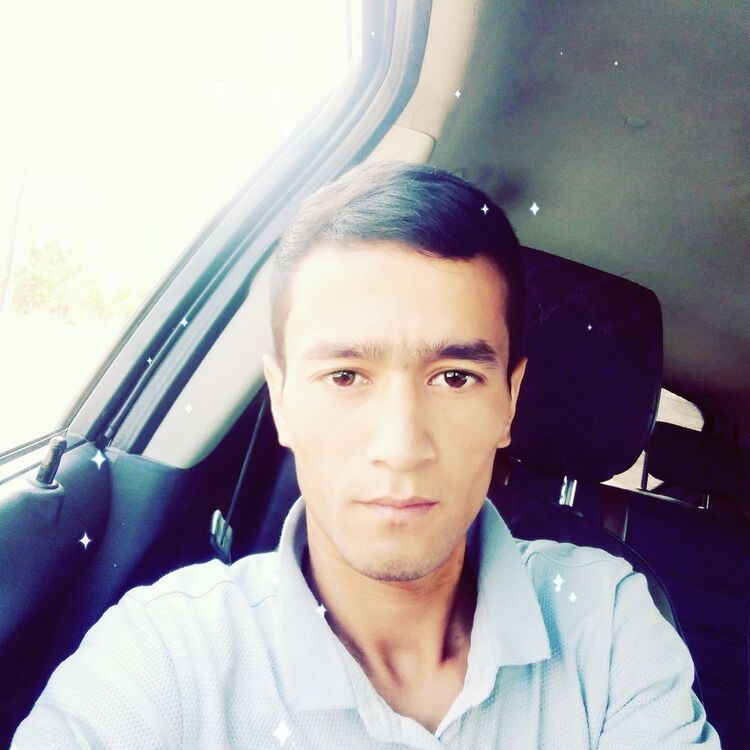  ,   Timur, 29 ,     , c 