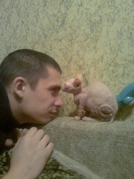 ���������� ����, ���� ������� �������, 35 ���, ������������ ��� ������