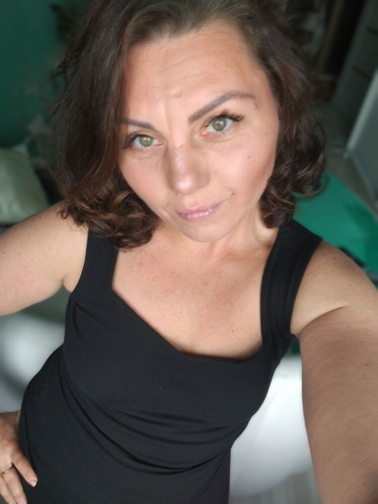  53728732  , 43 ,    -