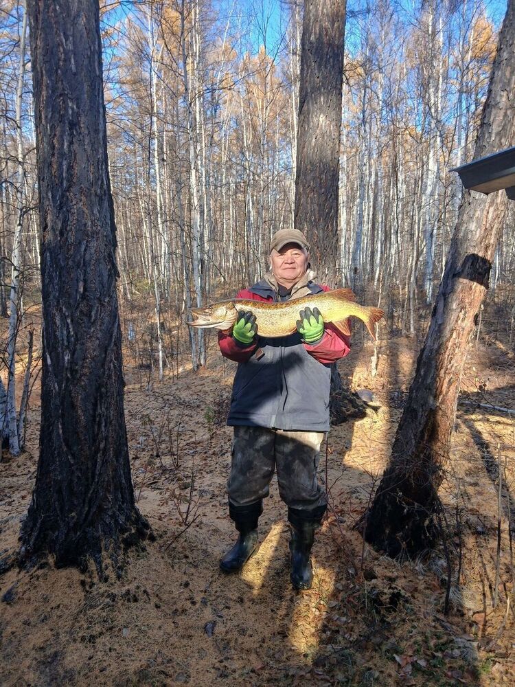 ���������� ���������������, ���� ������� ������, 63 ����, ������������ ��� ����� � ���������, c�������� ���������, ���������