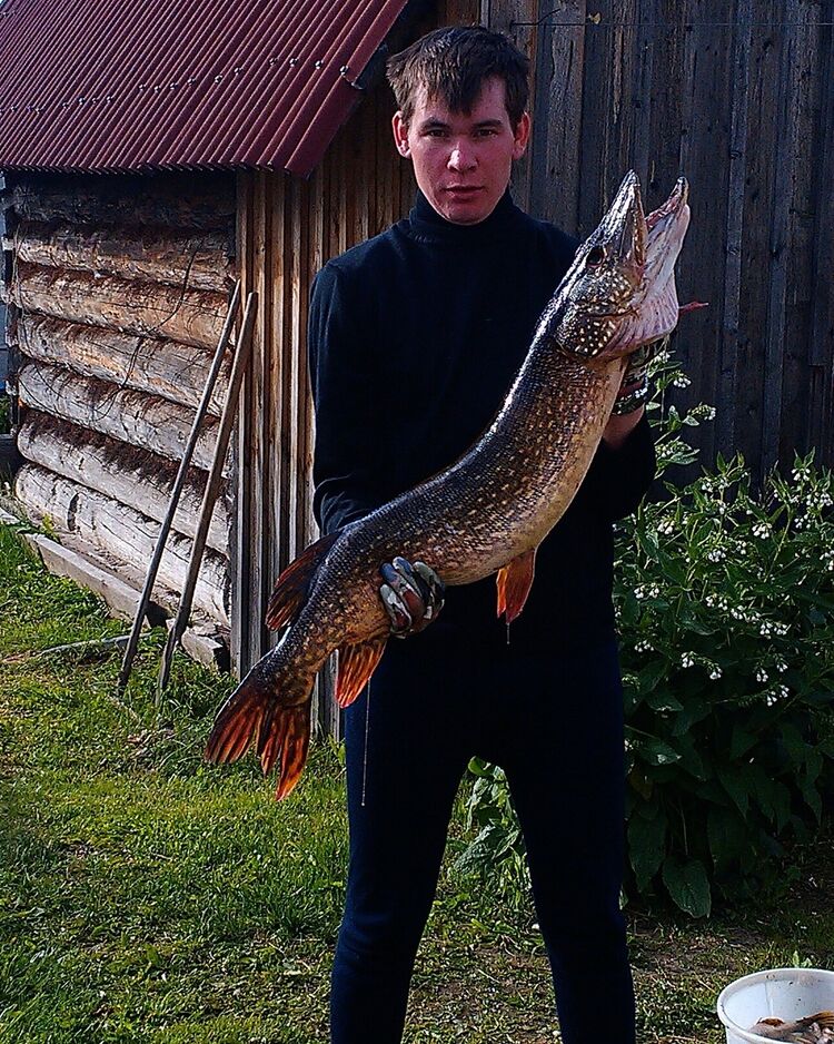 ���� 25830252 ������� �������, 31 ���, ���� ���������� � �������