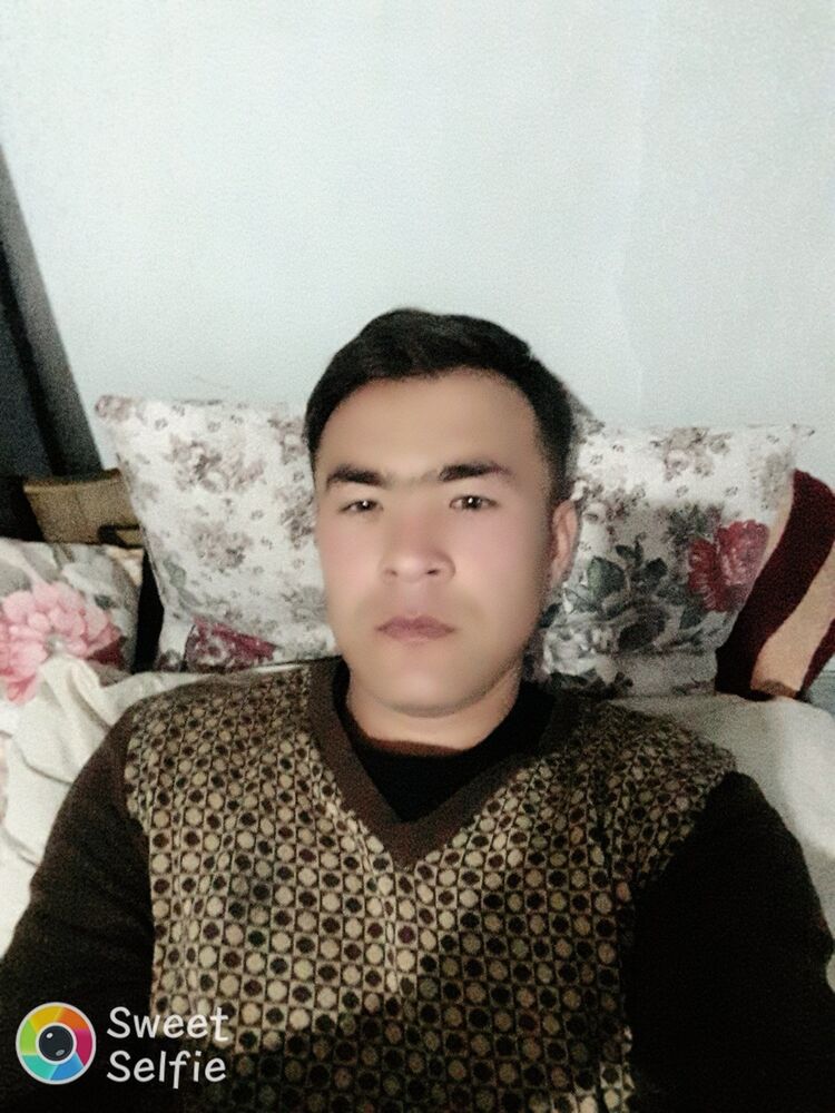  19405872   , 33 ,    