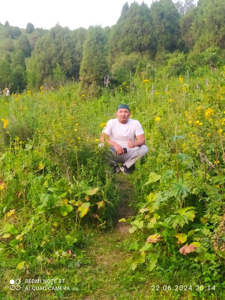 ���������� ������, ���� ������� ������, 37 ���, ������������ ��� ����� � ���������, c�������� ���������