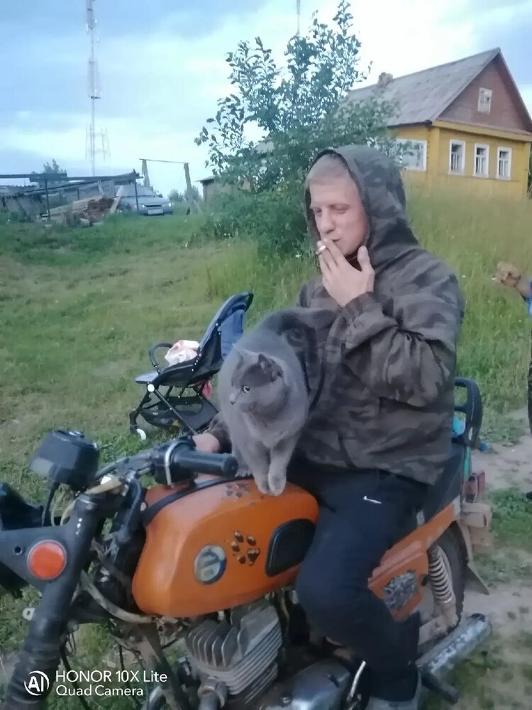  48896152  , 34 ,    