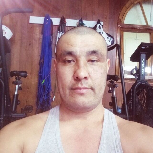  45605982  , 39 ,    