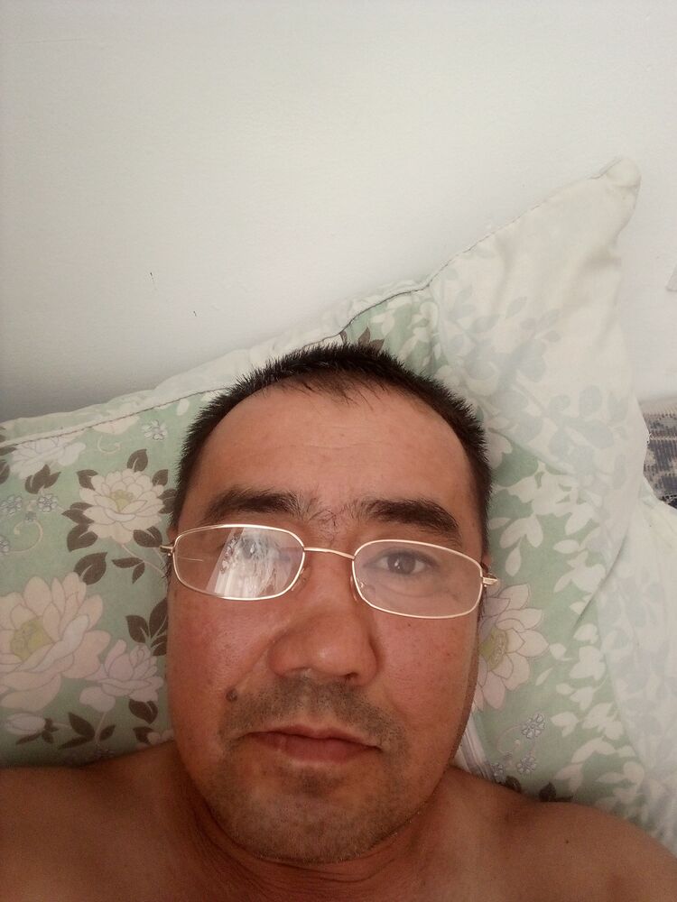  44916772  , 47 ,    