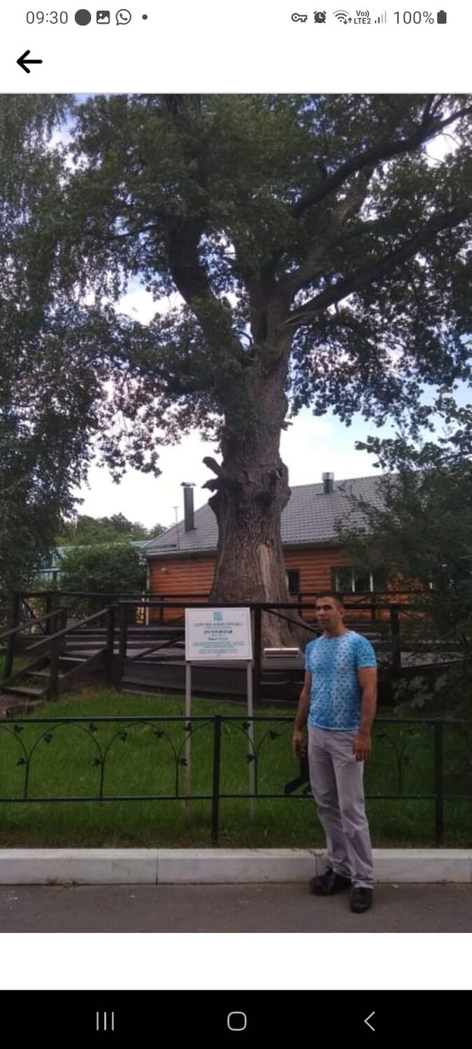  ,   Artem, 31 ,   ,   