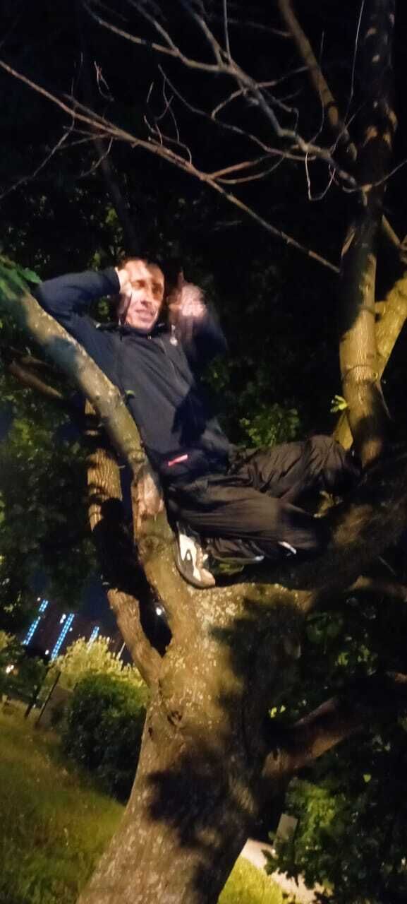 ���������� ������, ���� ������� �����, 44 ����, ������������ ��� ������, ����� � ���������