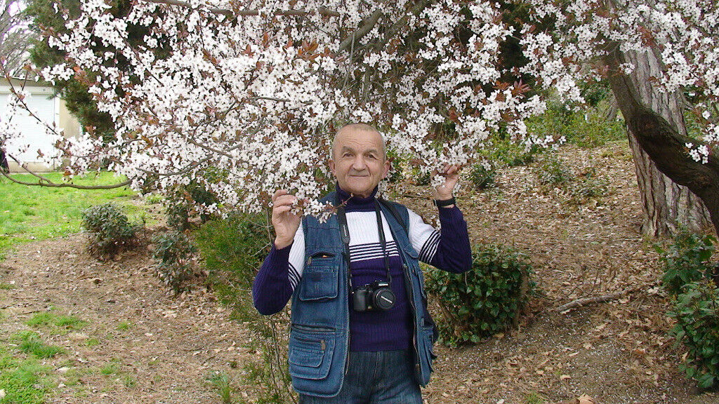  ,   , 65 ,   ,   