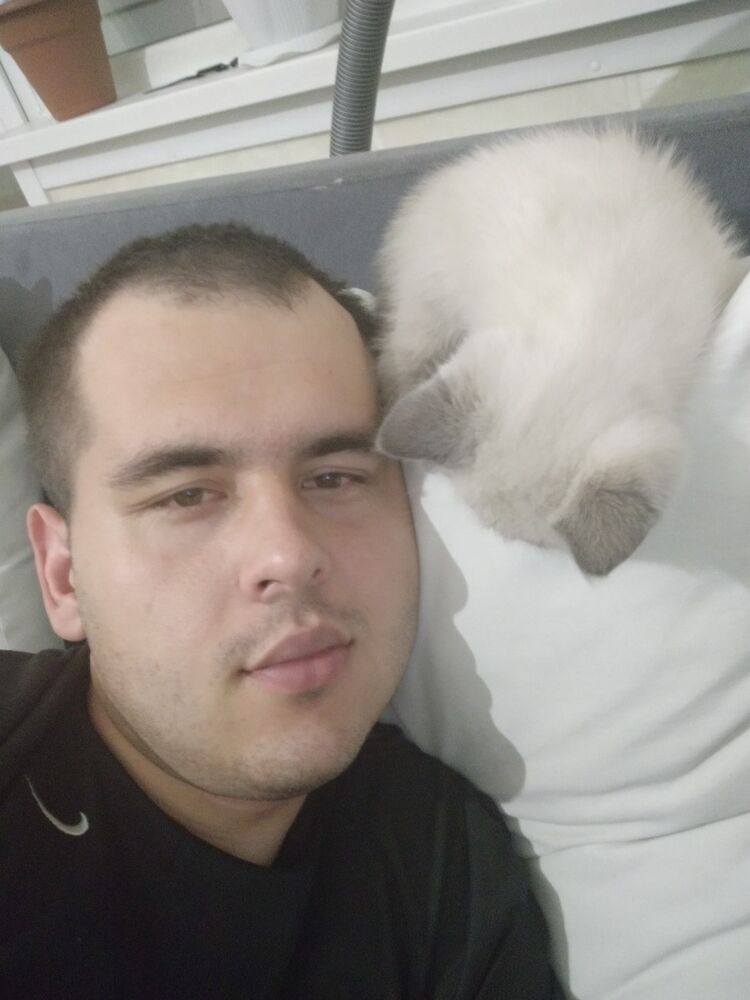 ���� 13994252 ������� Gambi, 32 ����, ���� ���������� � ������������