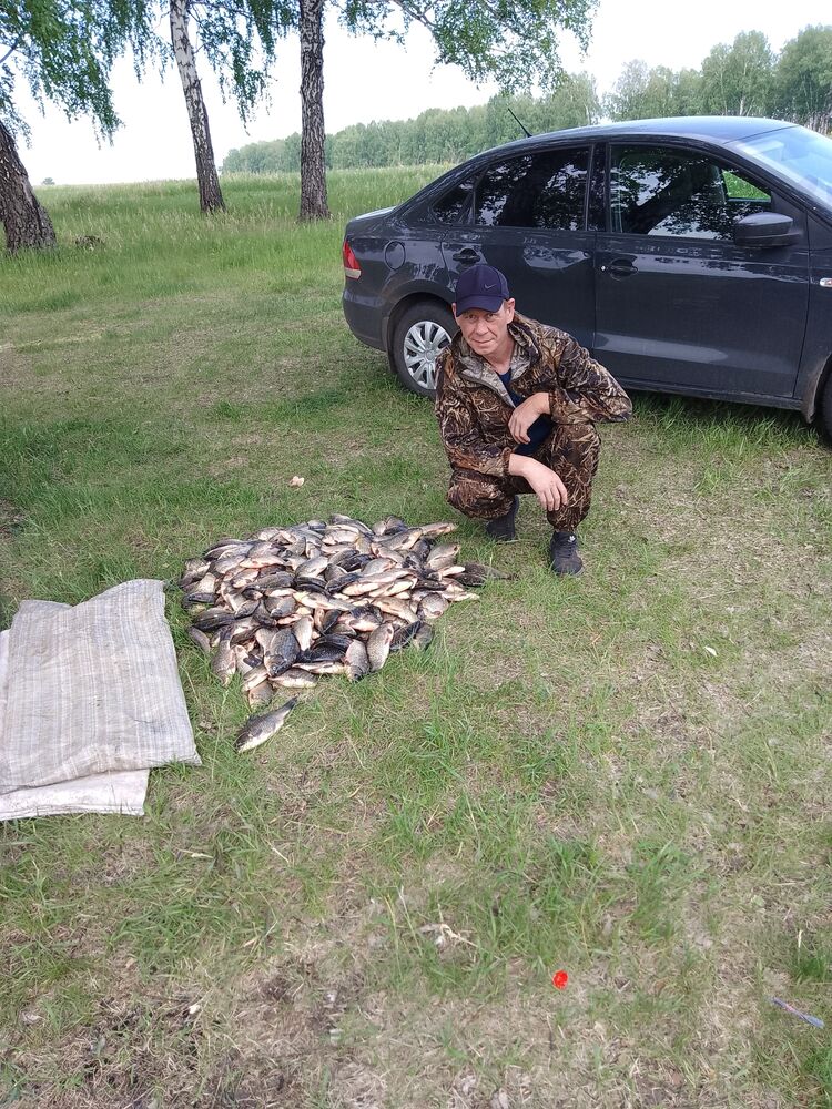 ���� 55924232 ������� �������, 43 ����, ���� ���������� � ������