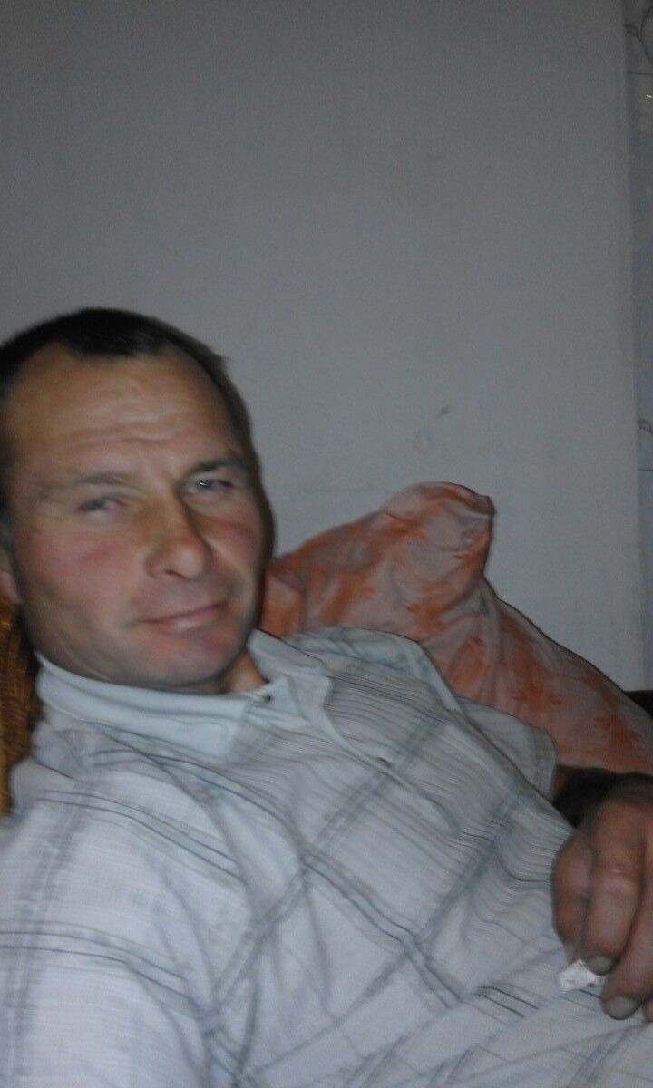  6596562  , 50 ,    