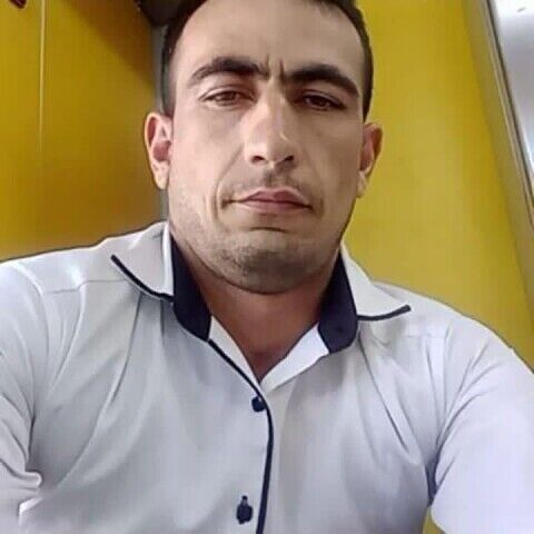 ���� 31431602 ������� ����, 35 ���, ���� ���������� � ������