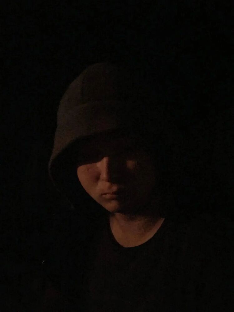  38338142  , 28 ,    