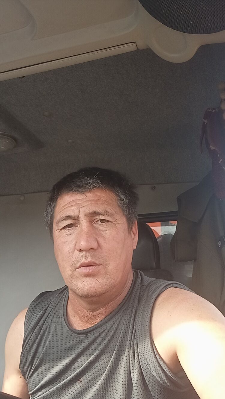 ���� 55175272 ������� ��������, 45 ���, ���� ���������� � ���������