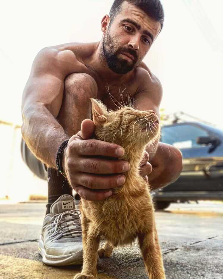 ���������� �����-���������, ���� ������� �������, 37 ���, ������������ ��� ������, ����� � ���������