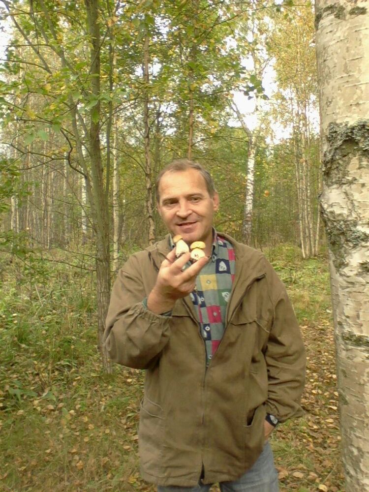 ���� 8642782 ������� �����, 60 ���, ���� ���������� � �����-����������