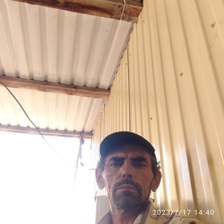  38930482  , 49 ,    