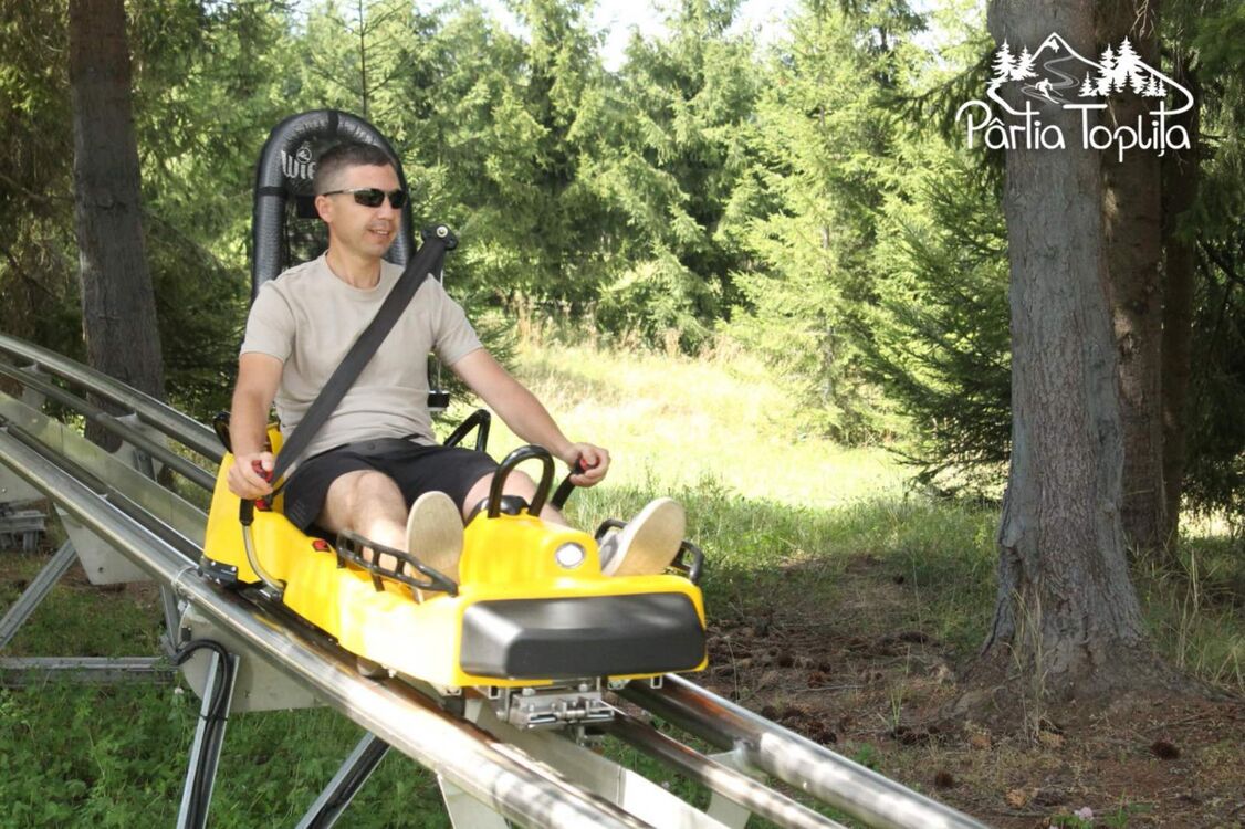 ���� 55613552 ������� ���������, 38 ���, ���� ���������� � ��������