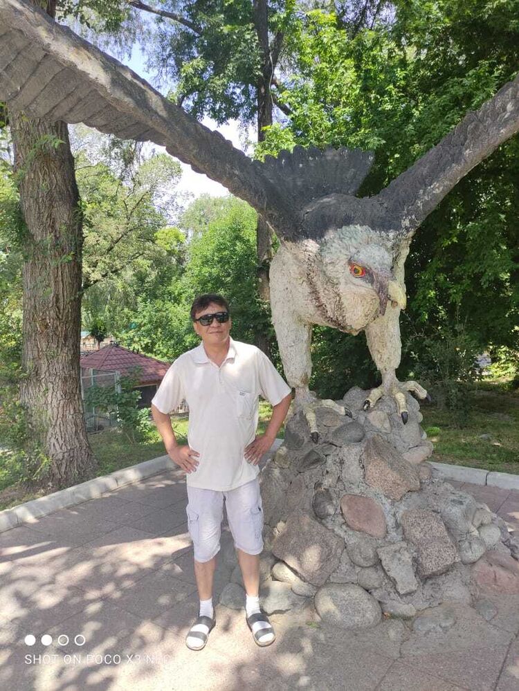 ���� 23404352 ������� Al, 47 ���, ���� ���������� � ��������