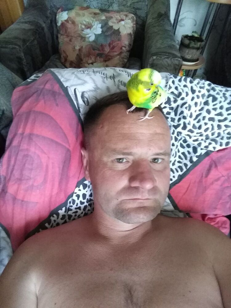 ���������� ��������, ���� ������� ������, 43 ����, ������������ ��� ������, ����� � ���������, c�������� ���������, ���������