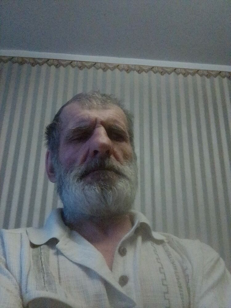  31297032  , 62 ,    