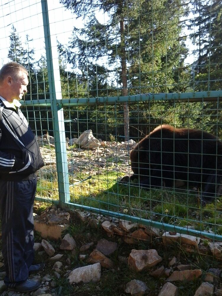  -,   Vasil, 27 ,   