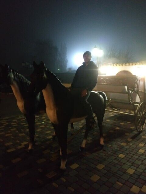 ���� 23139342 ������� ������, 37 ���, ���� ���������� � �������