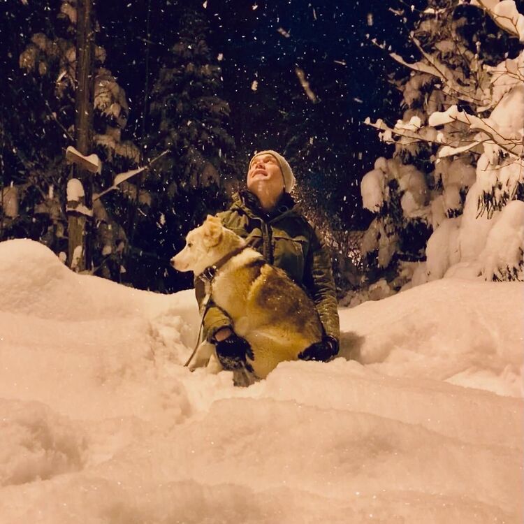  36777132  Niko, 42 ,    -