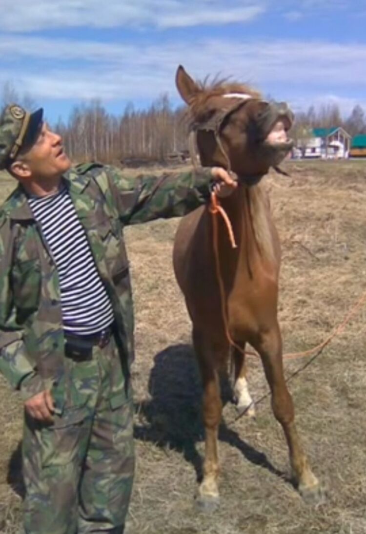 ���������� ������, ���� ������� ������, 63 ����, ������������ ��� ����� � ���������, c�������� ���������