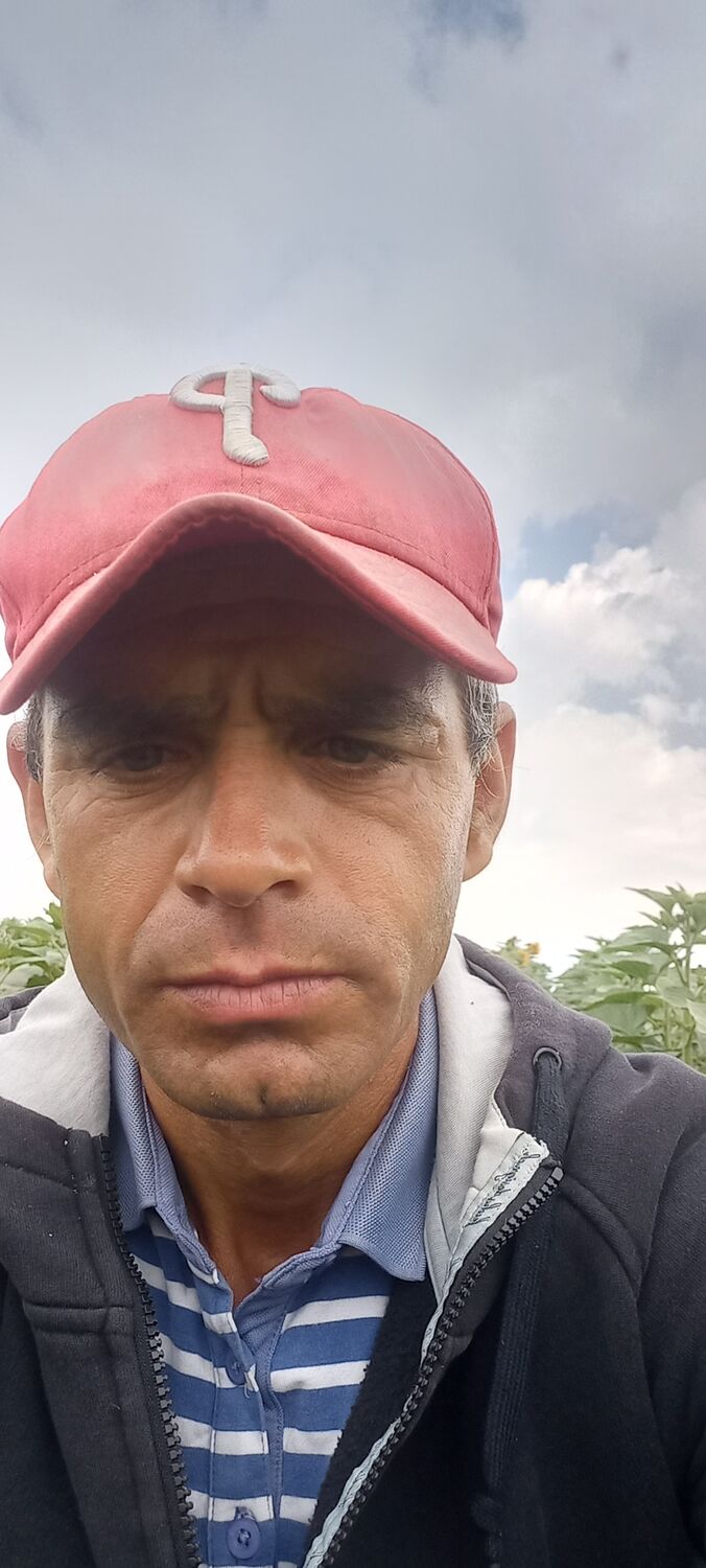 ���������� ������, ���� ������� ����, 46 ���, ������������ ��� ������, ����� � ���������, c�������� ���������, ���������